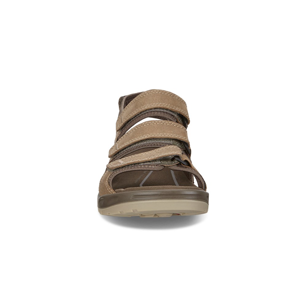 ECCO Mens Sandals Brown - Offroad Flat - GIH-947150